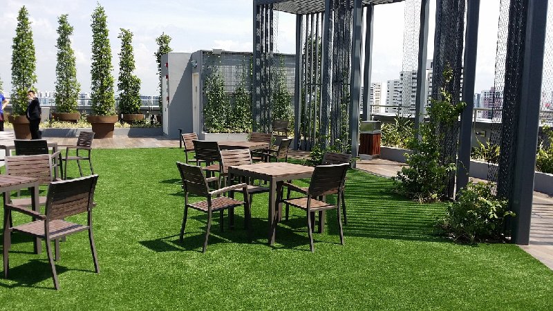 Zielono w domu, czyli ogród na dachu