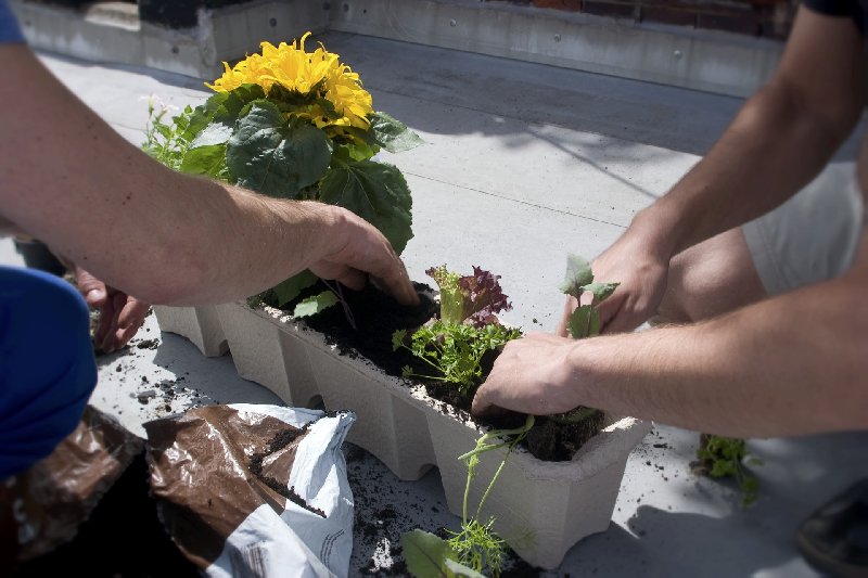 Kilka sposobów na ogrodowy recykling